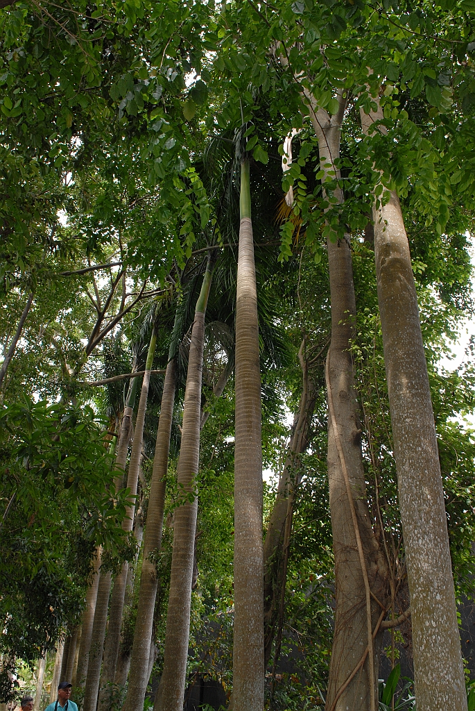 0773 Wildlife Habitat Port Douglas.jpg
